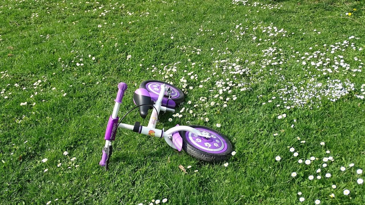 長春臺風最新信息及應對措施,實時動態與指南