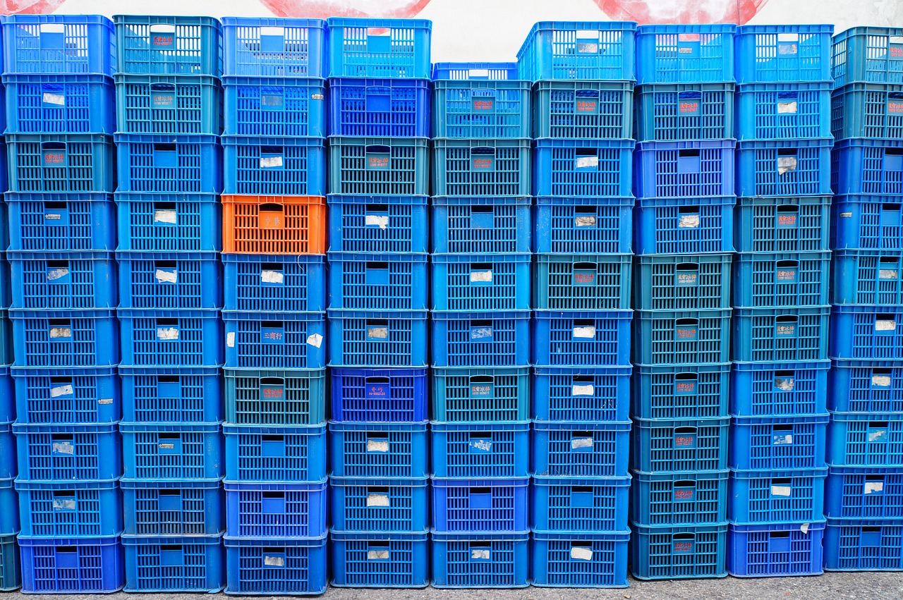 虞文品最新動態,探索前沿,引領未來創新之路