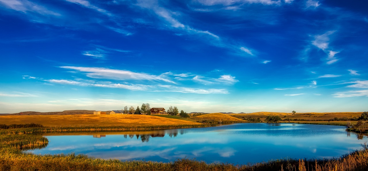 美國期指最新動態解析,市場走勢與影響因素深度剖析