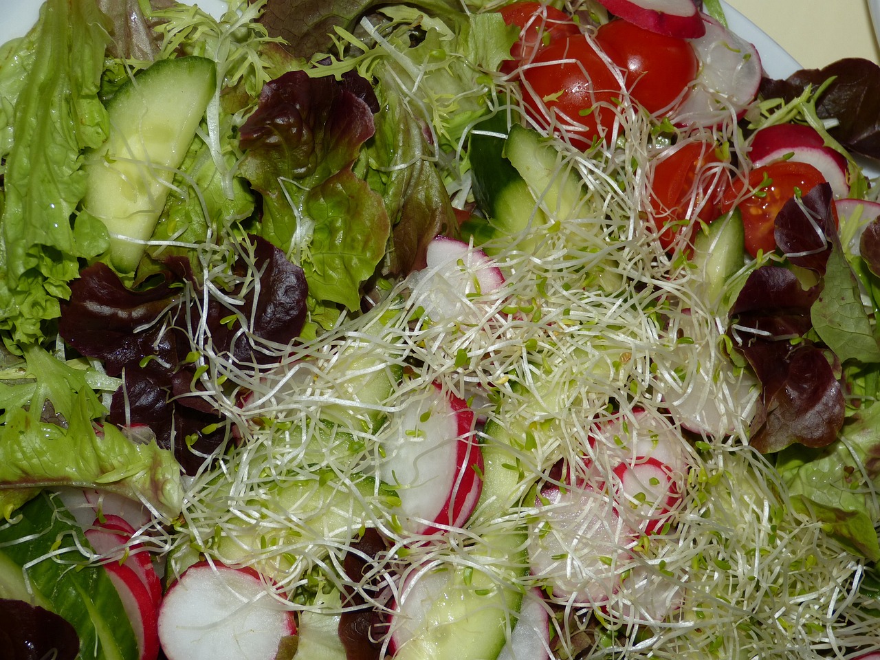 軟萌最新黃瓜,時尚美食的新魅力探索