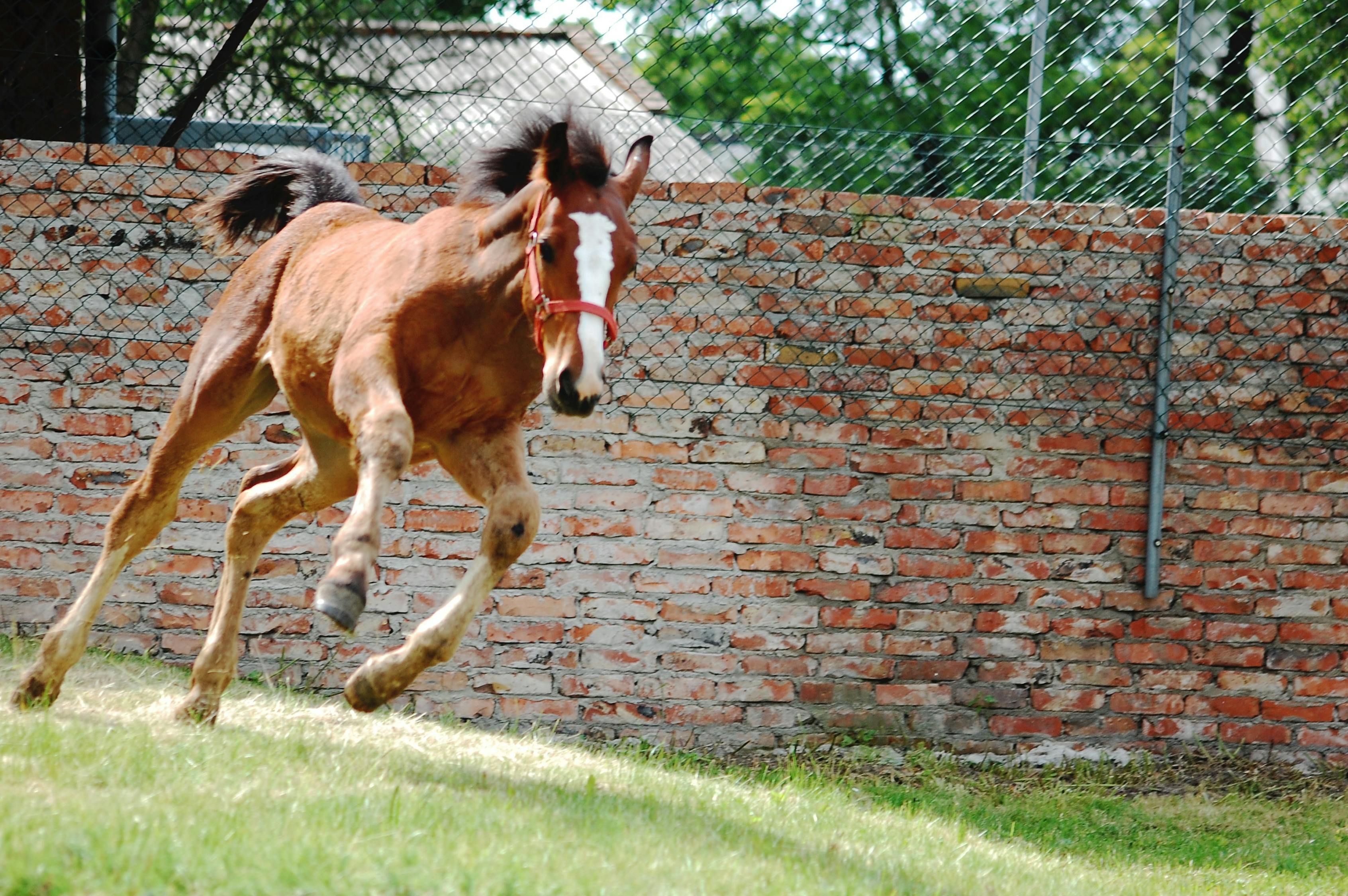 2024年9點30開特馬，善于指導的2512.596