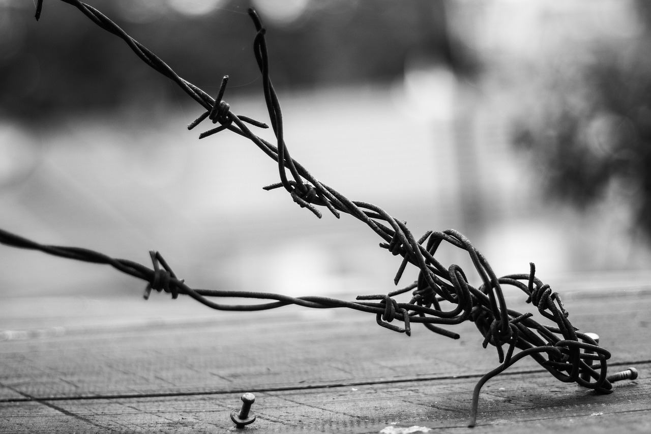 最新解讀與感悟,情深如獄深度剖析與情感領悟