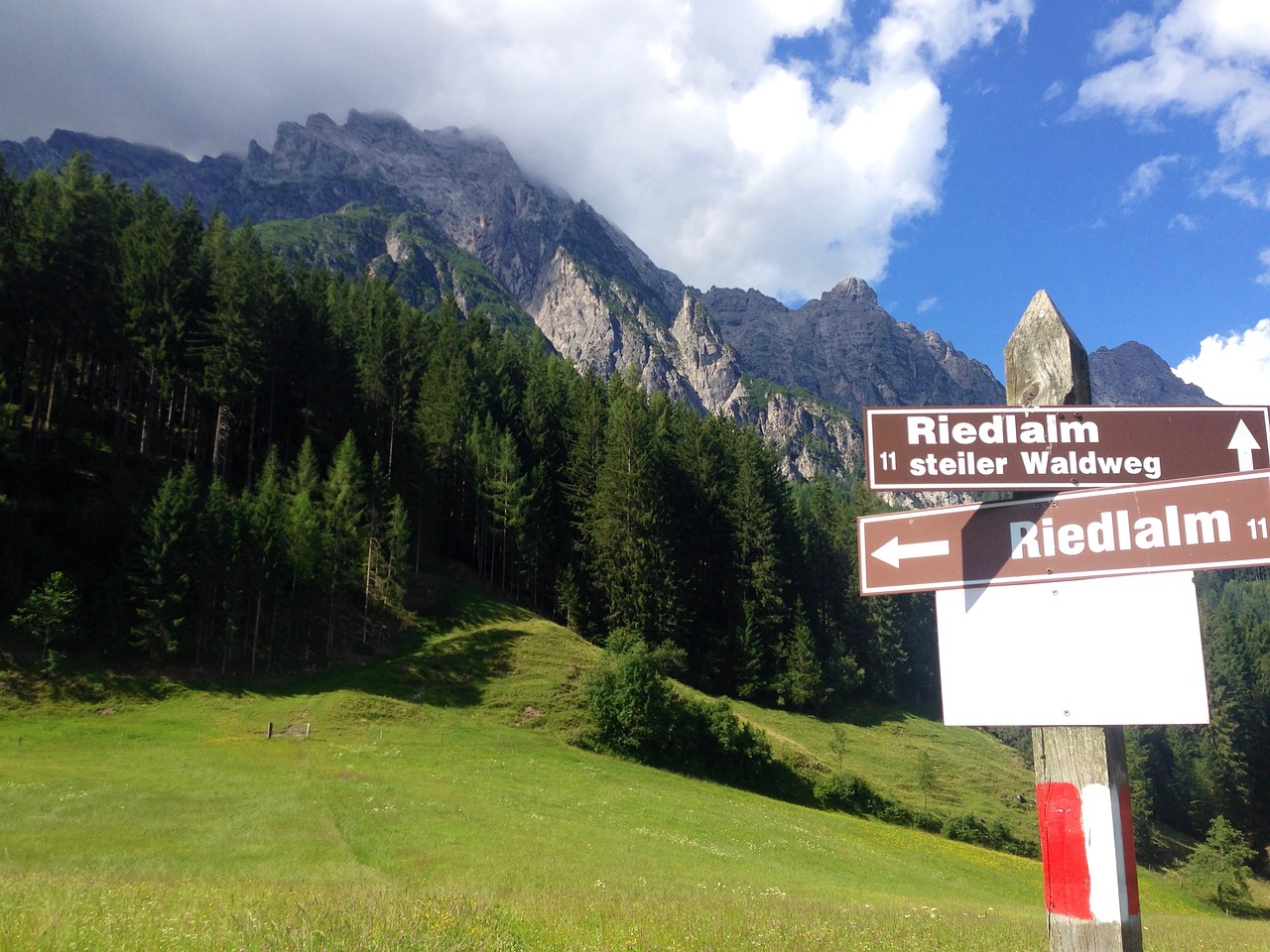 阿里股價最新動態,市場走勢、前景展望與最新信息速遞