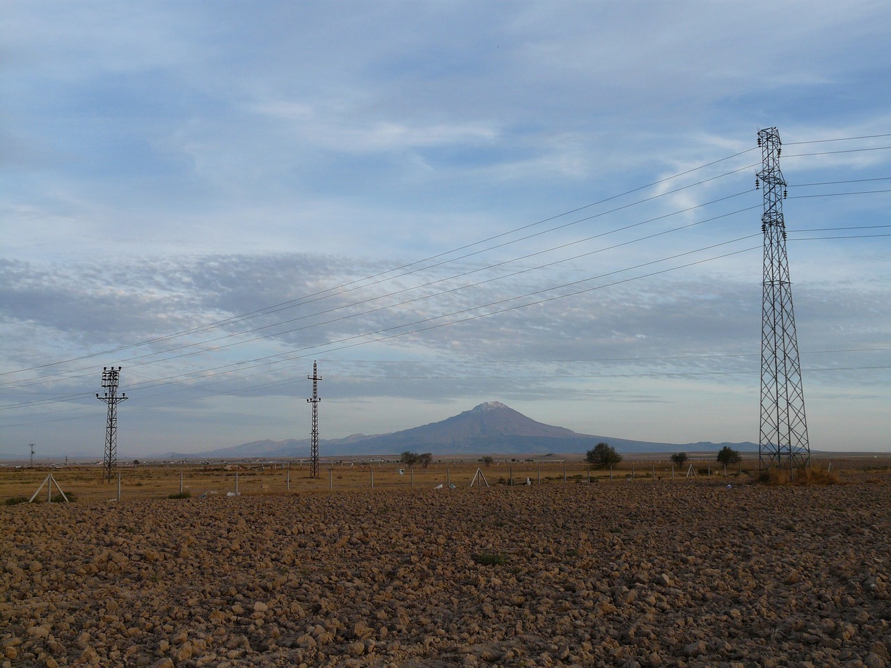羅偉其的最新動態與成就概覽