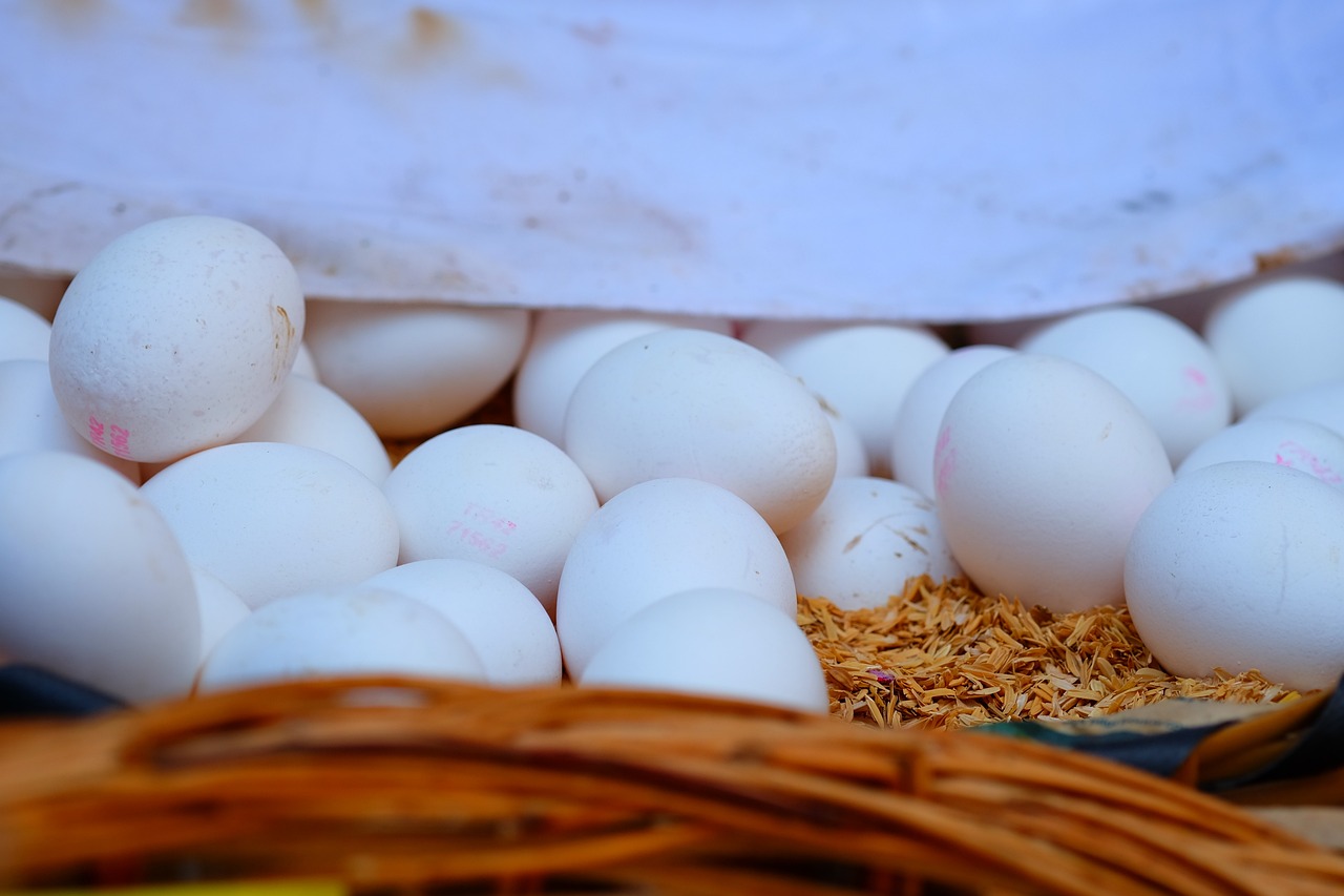 波蘭疫情最新動(dòng)態(tài),現(xiàn)狀、分析與未來趨勢(shì)展望