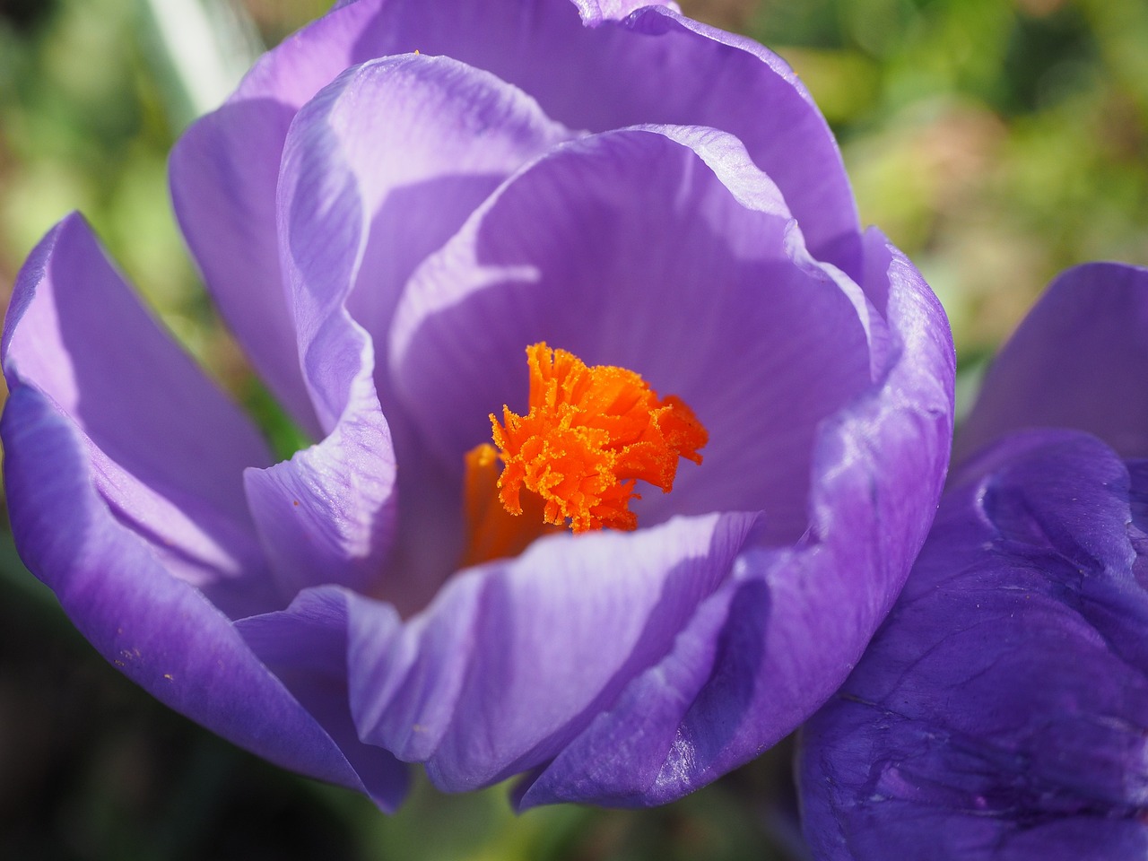 廣化寺最新動態與變遷概覽