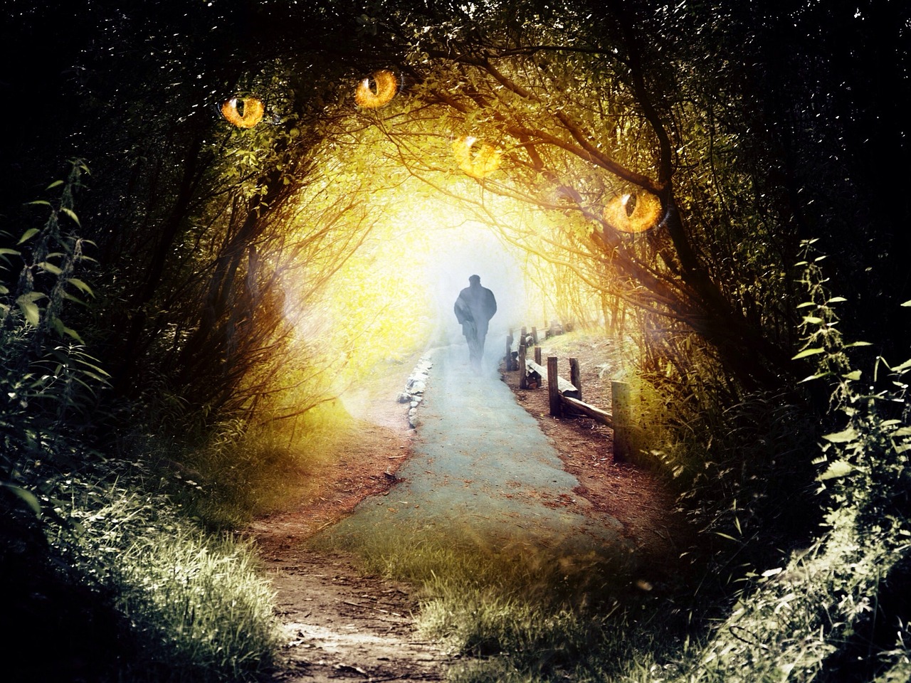 探索電影的藝術(shù)與魅力,最新電影我在!