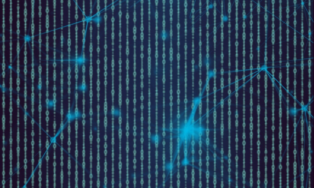 探索最新登錄網址,揭秘神秘91門戶