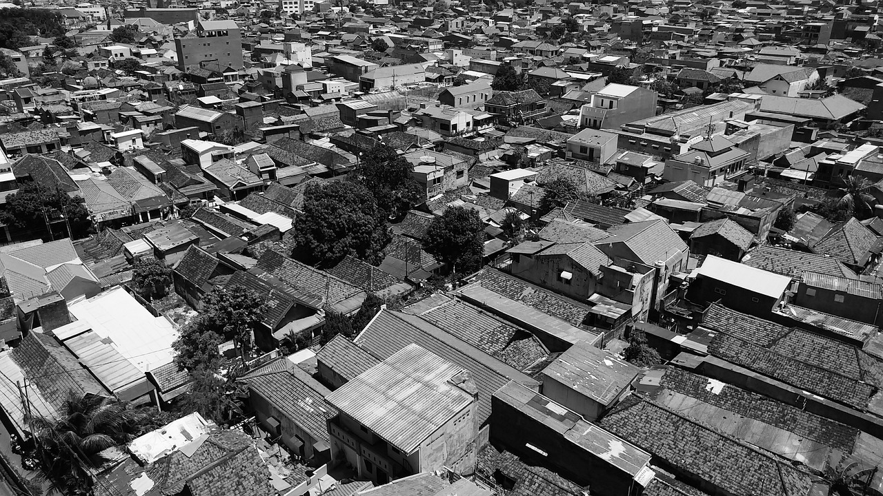 新疆最新管控措施實施,筑牢防線保障發展穩定