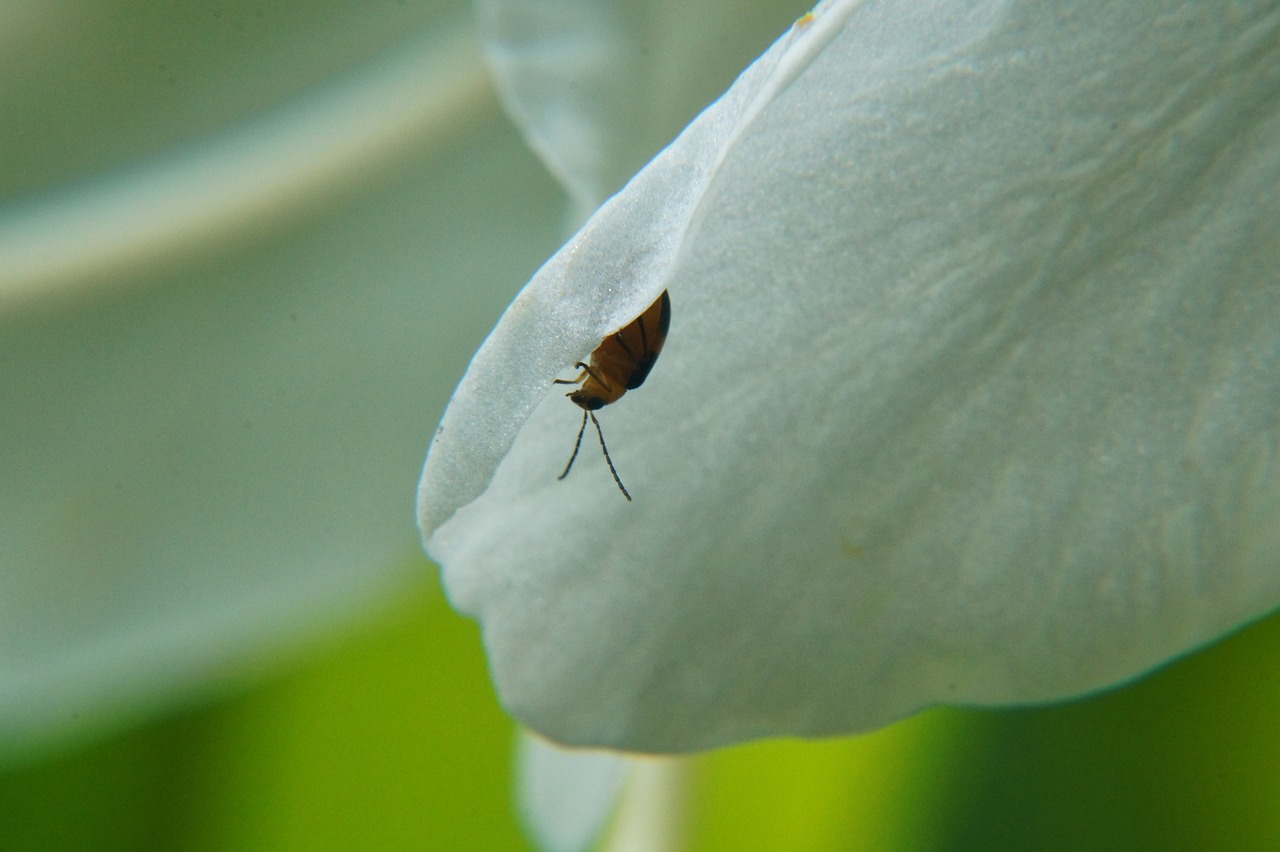 申公豹最新動(dòng)態(tài)揭秘,一個(gè)前所未有的視角觀察報(bào)道!