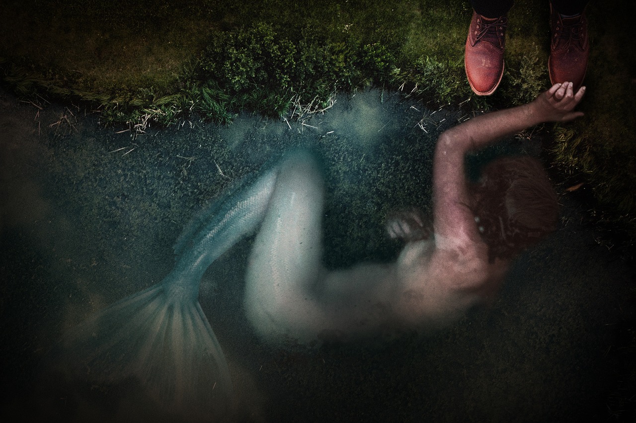 萊女士失蹤事件最新進(jìn)展與線索深度解析