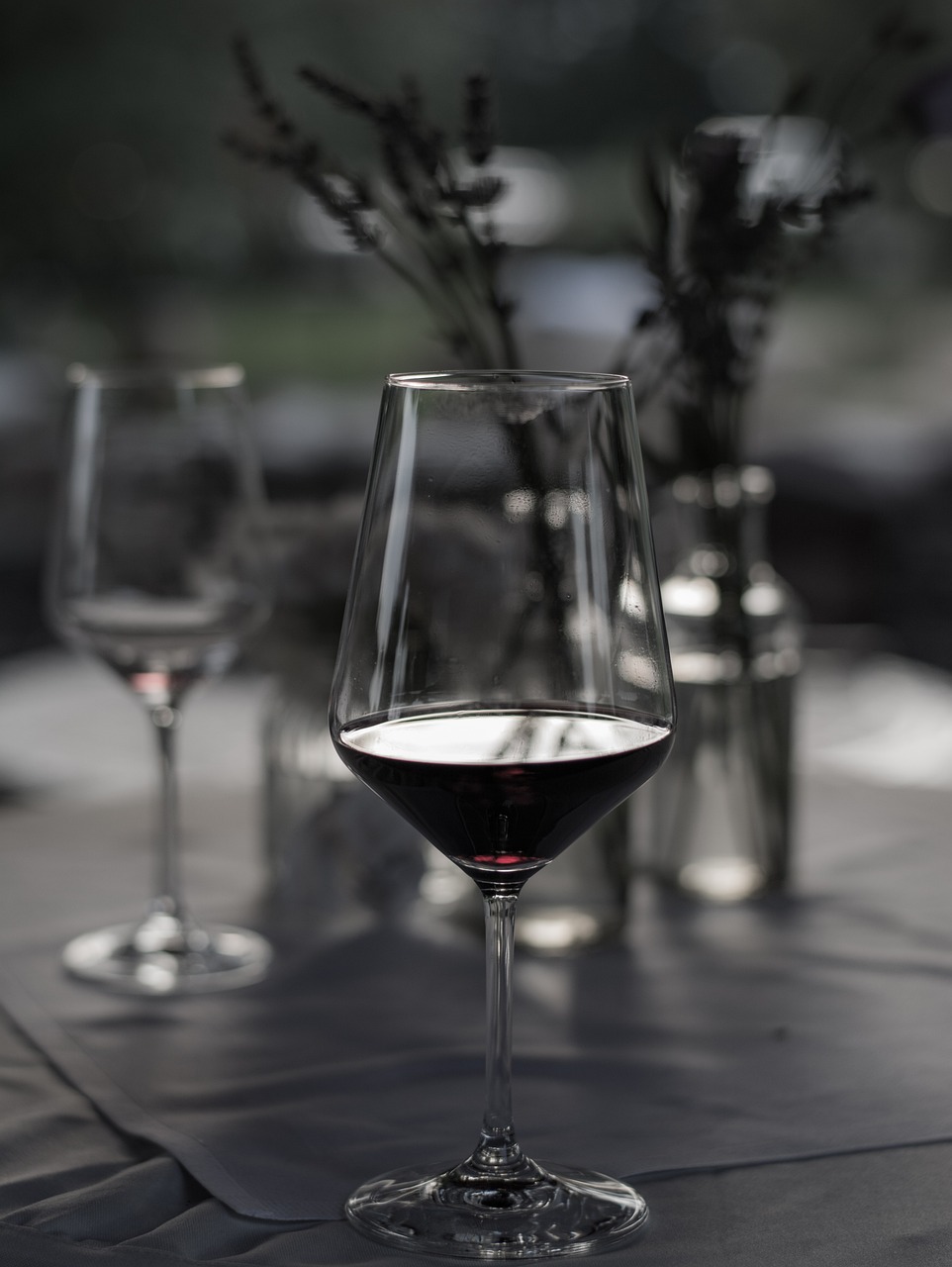 派比小說最新動態及深度解讀速遞