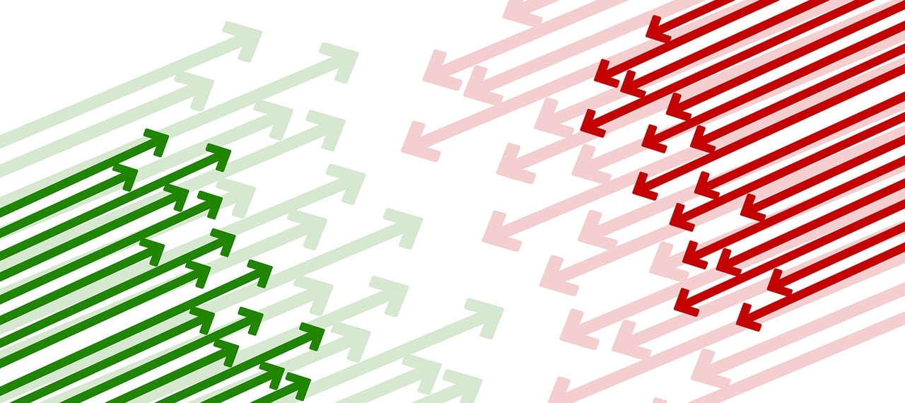 最新禁食禁養政策,影響與挑戰分析