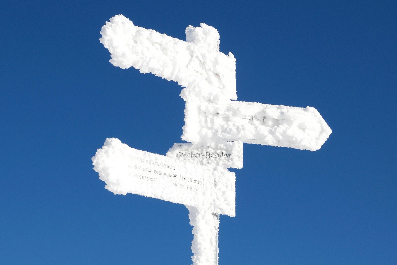 凍白蝦最新動態(tài),品質(zhì)革新與市場趨勢分析揭秘