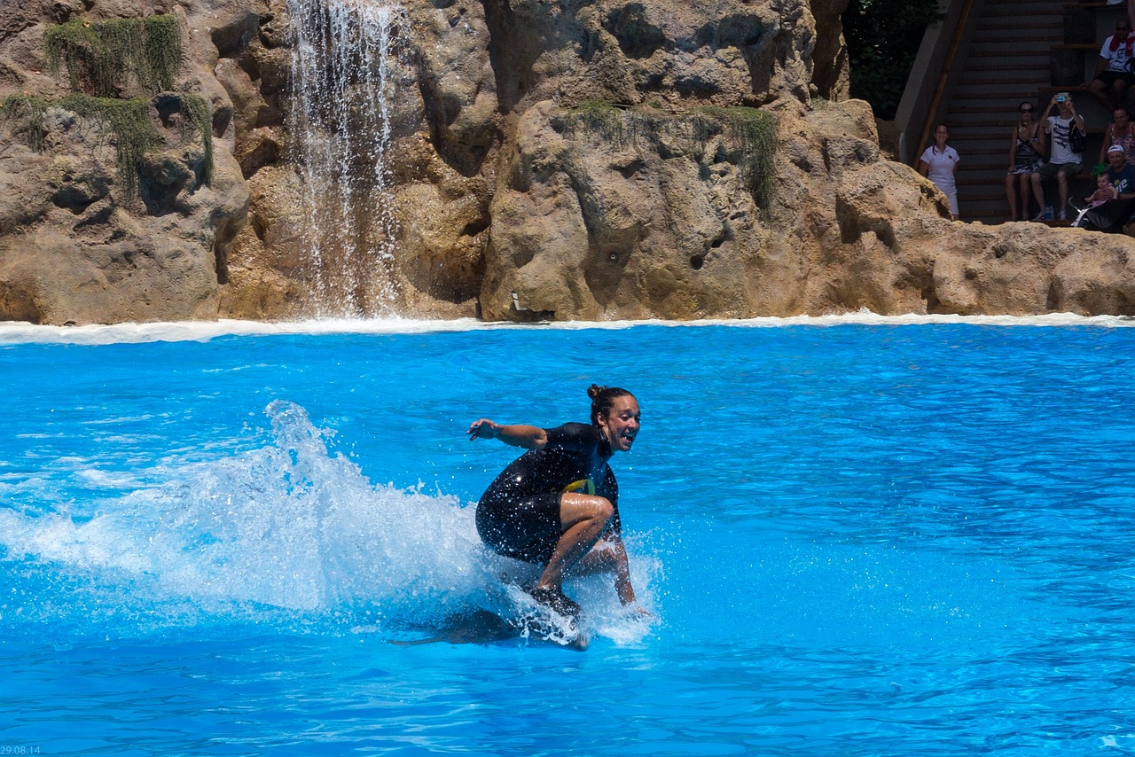 成毅商務最新動態,引領行業潮流,展現商務新風尚風采