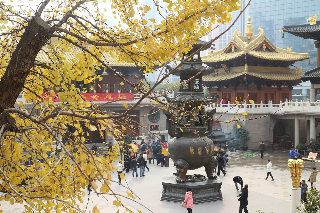 上海廖國,繁榮都市風貌與文化魅力的展現