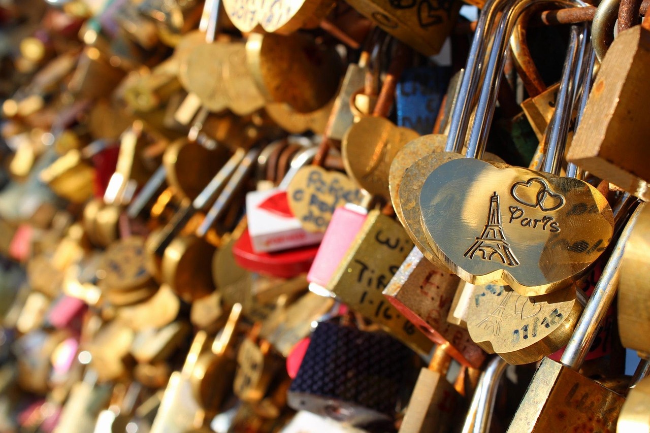 成都最新撿狗動態,關愛流浪狗,共建愛心城市