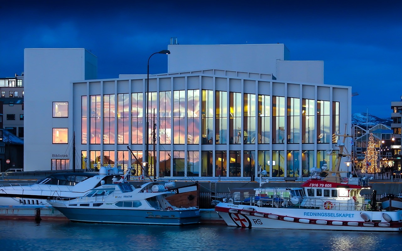 遼寧豬疫情最新動態,挑戰與應對策略揭秘