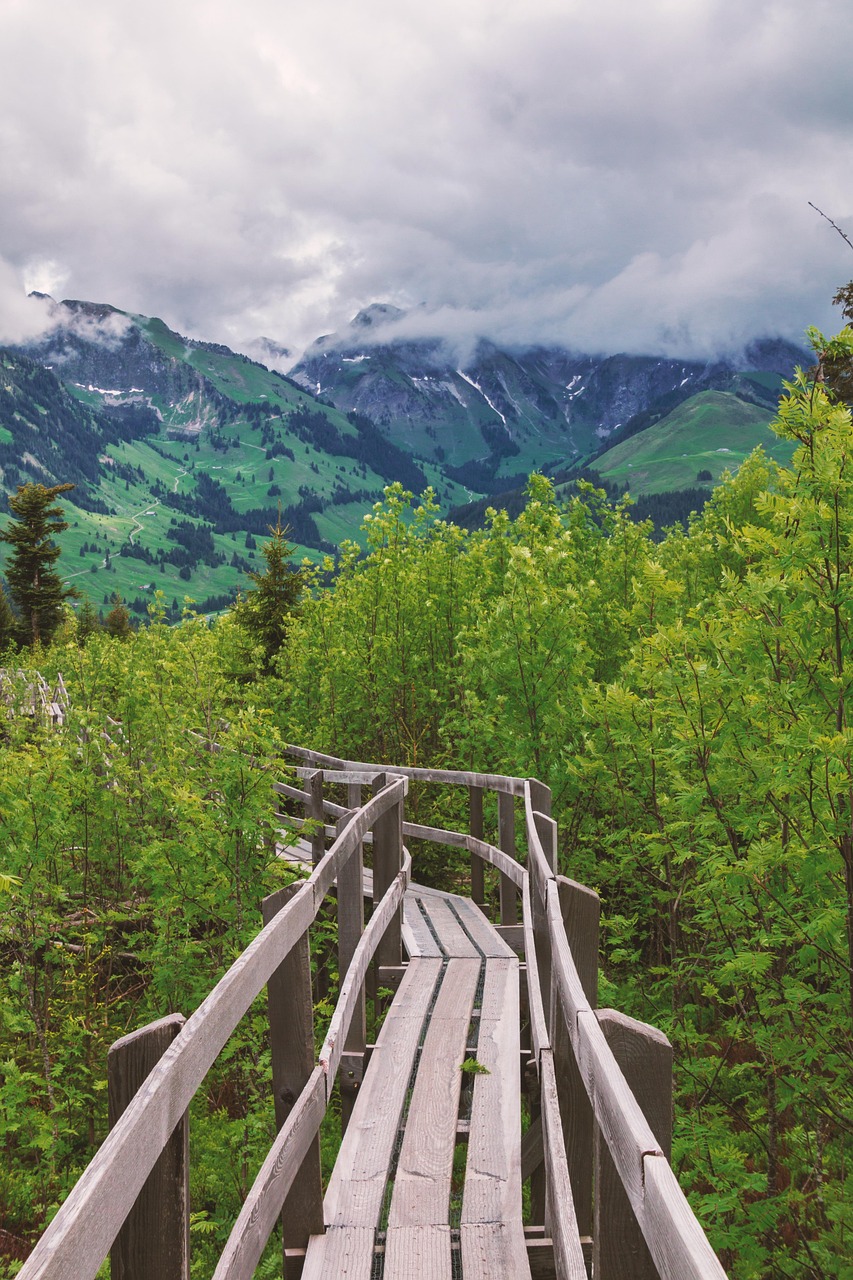 揭秘最新進藏線路,探索通往神秘天堂的新路徑