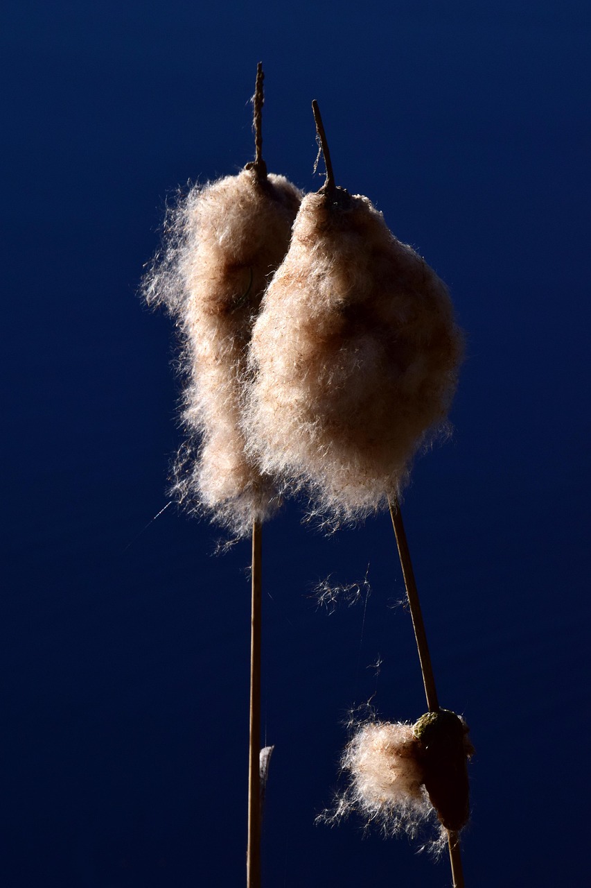 賽克斯最新動態引領科技創新,塑造未來新世界新篇章