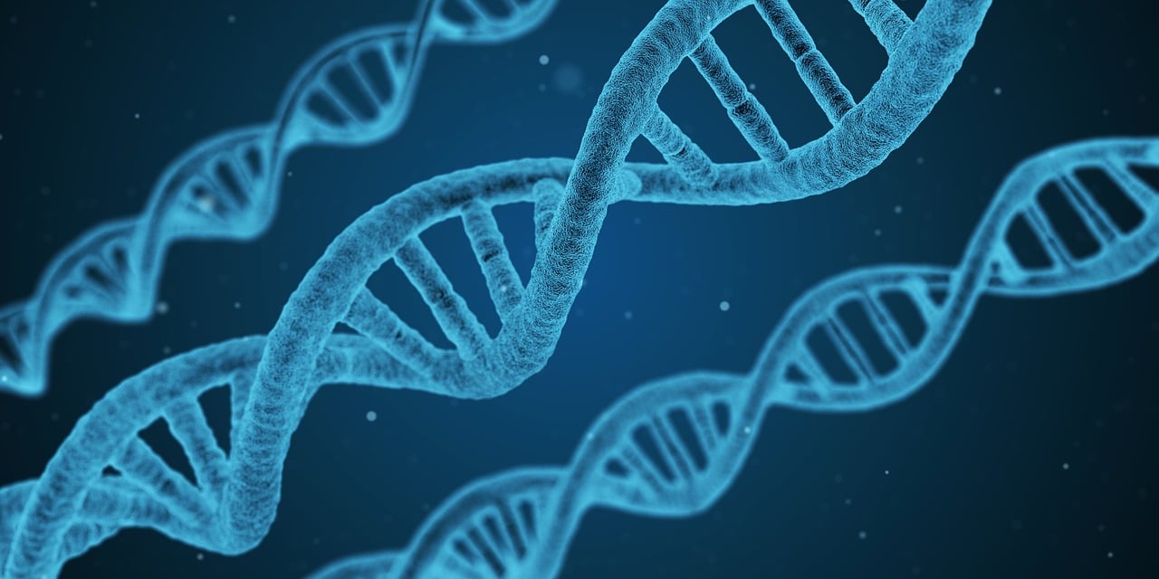 派派最新種子，探索未知世界的先鋒，引領你發現新知