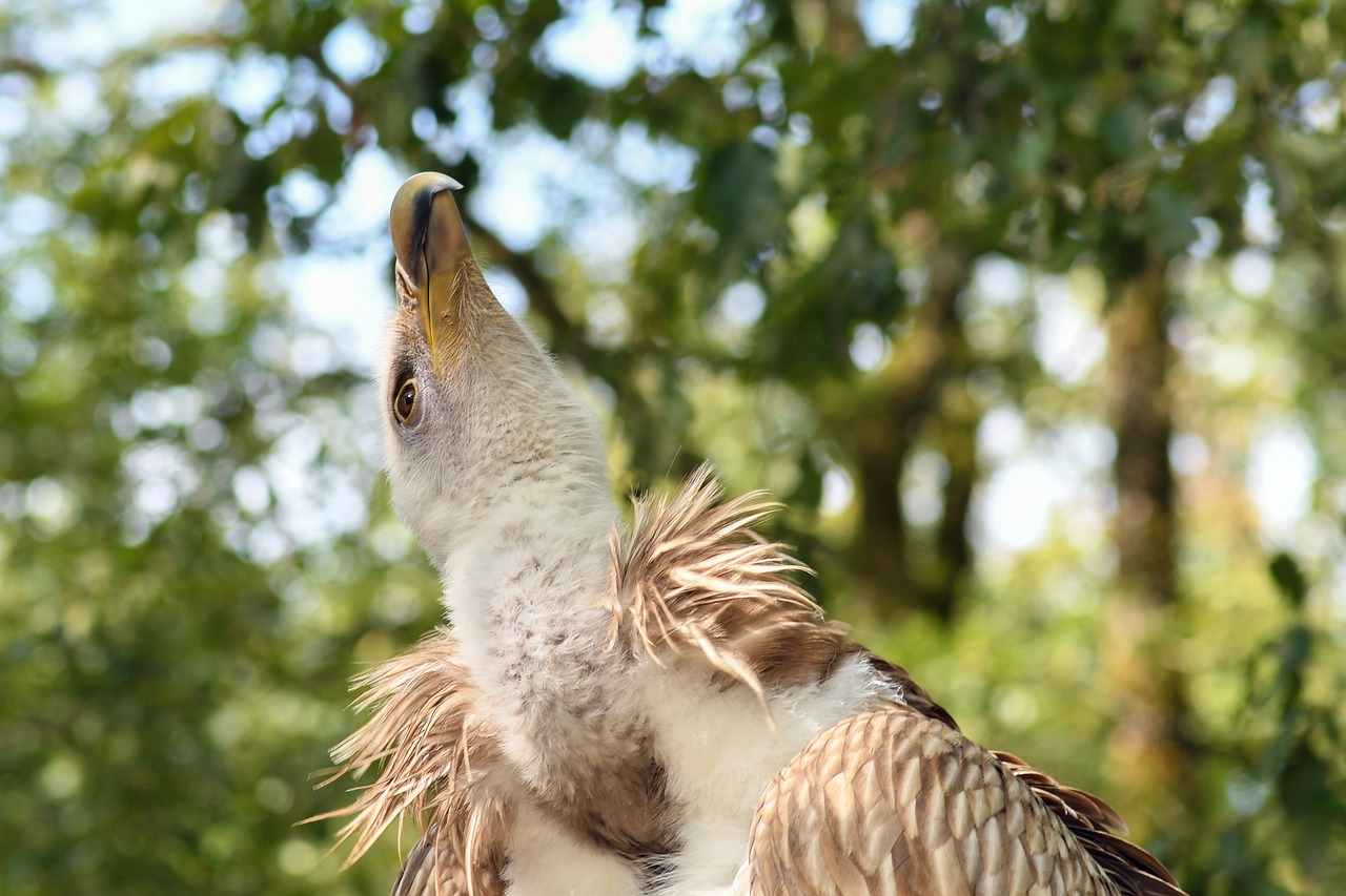 動力煤報價最新動態分析與市場趨勢探討