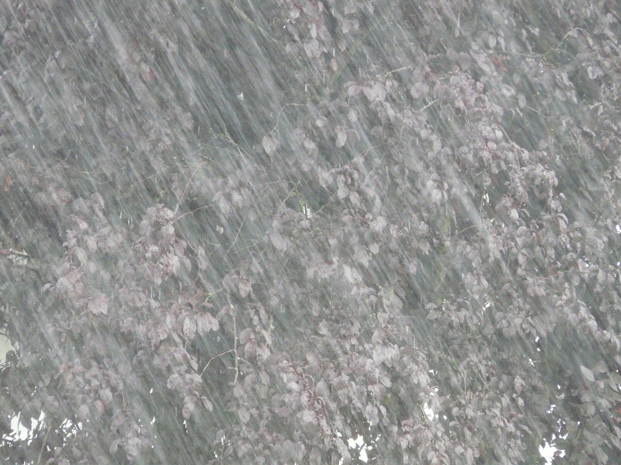 信陽(yáng)大暴雨最新情況報(bào)告更新