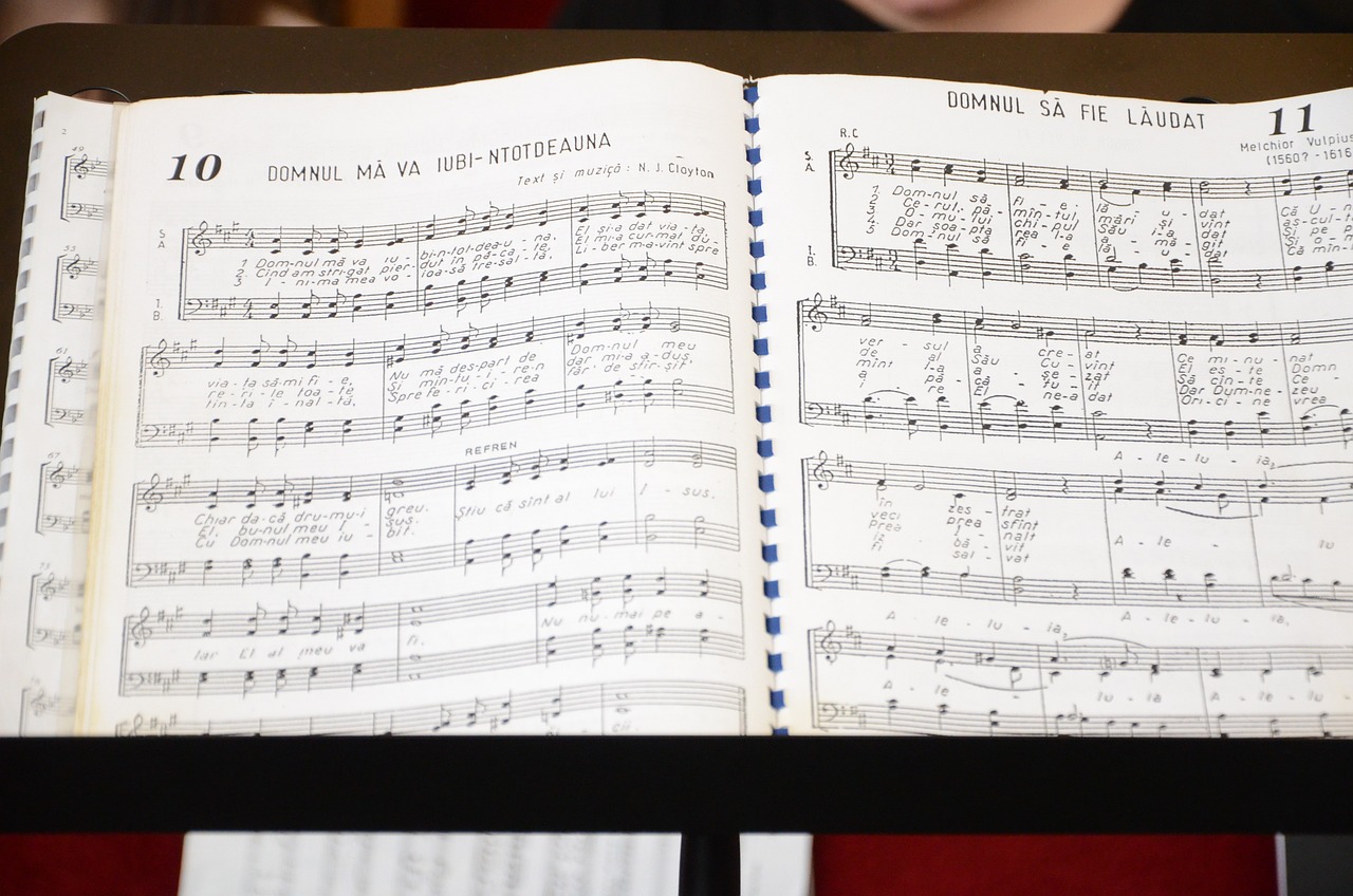 儲姍最新歌曲,音樂新篇章的啟航