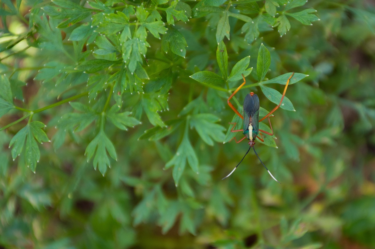 探索現代宅文化新風尚,御宅最新小動態