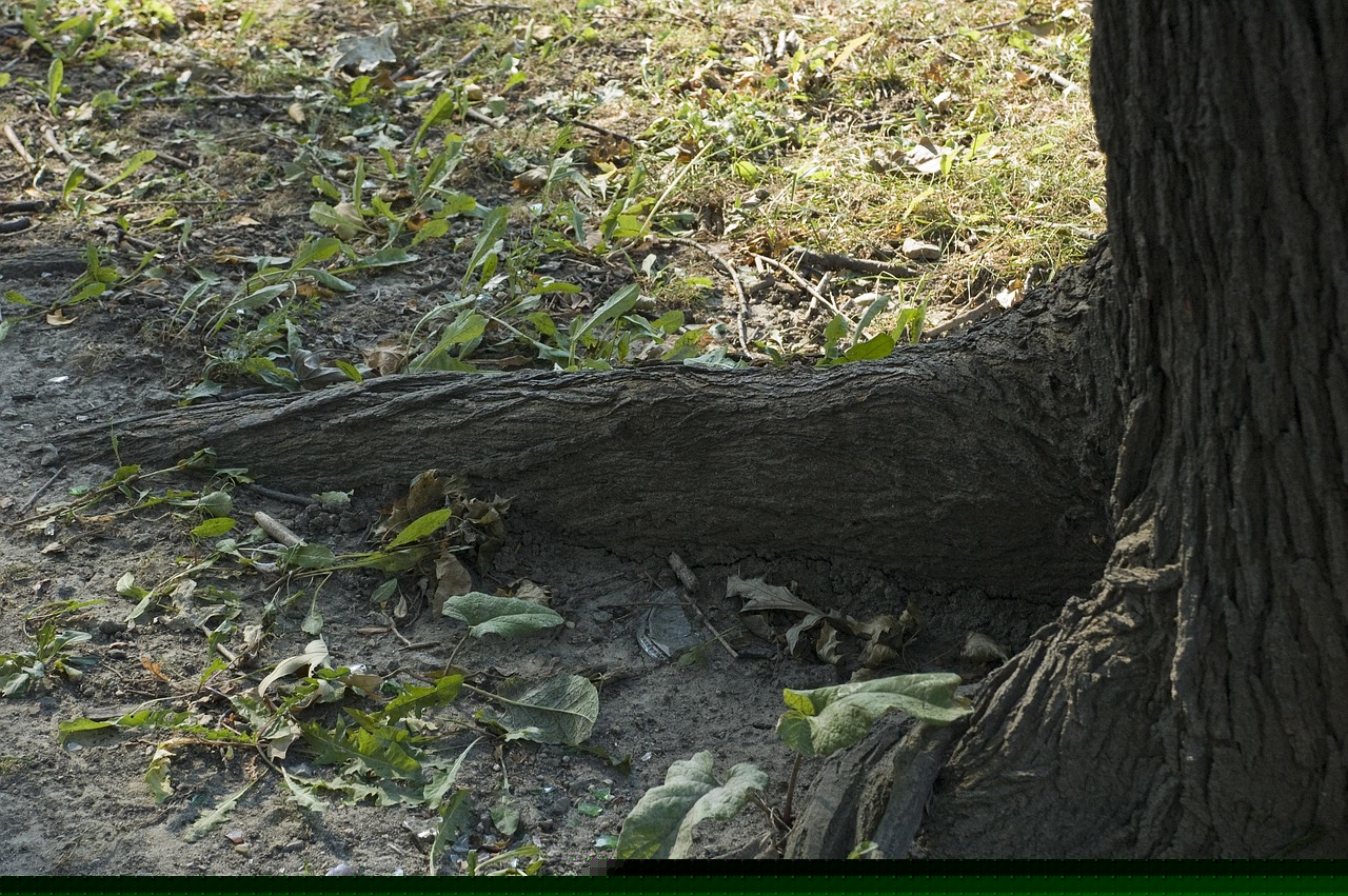 快手寶哥最新動態,引領潮流,網紅新勢力崛起