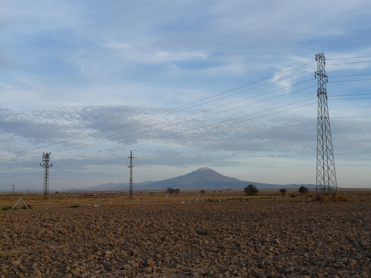 楊東麒的最新動(dòng)態(tài)與成就概覽