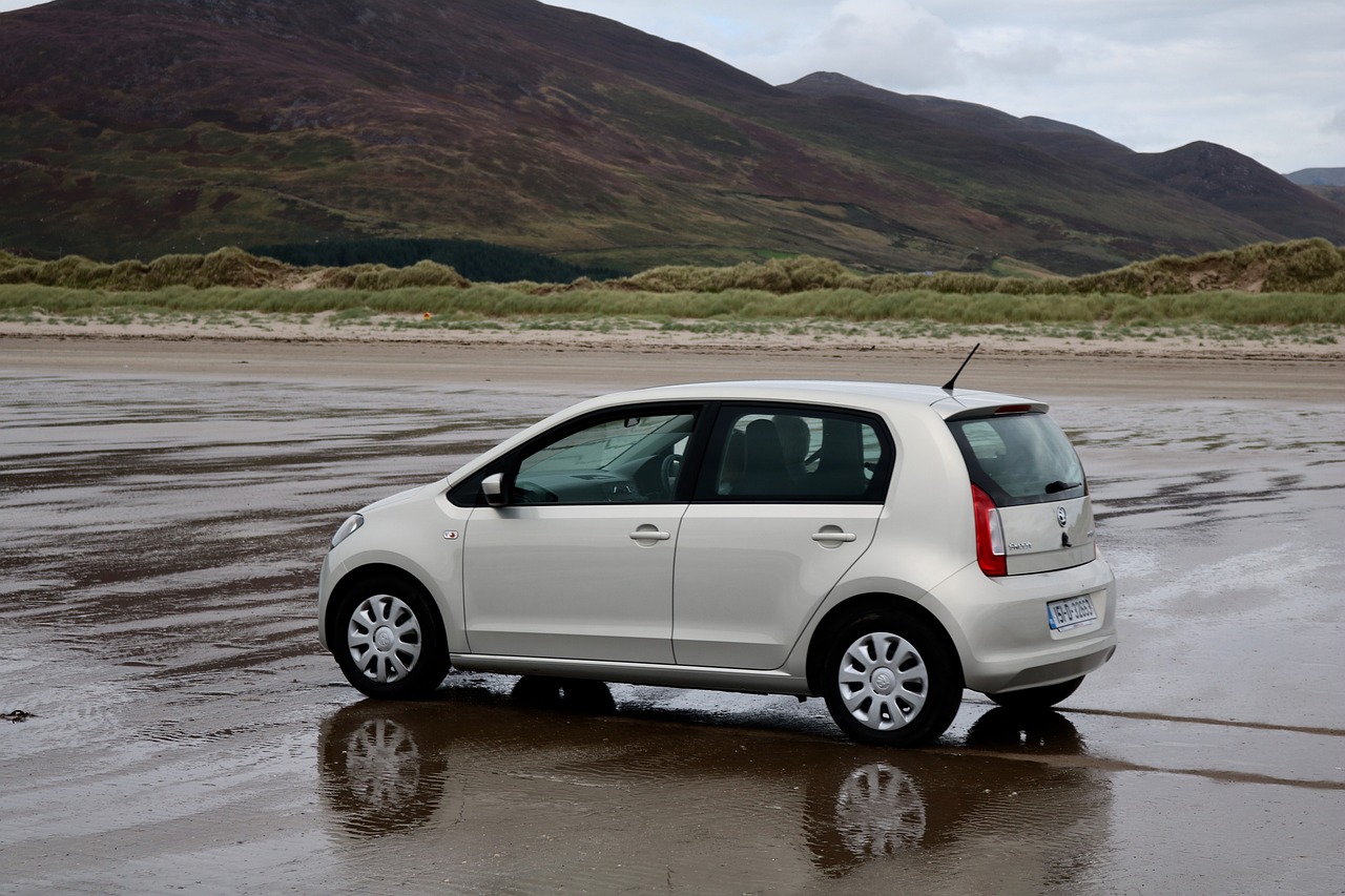 魚莽子最新動態揭秘,探索未知,持續創新之路