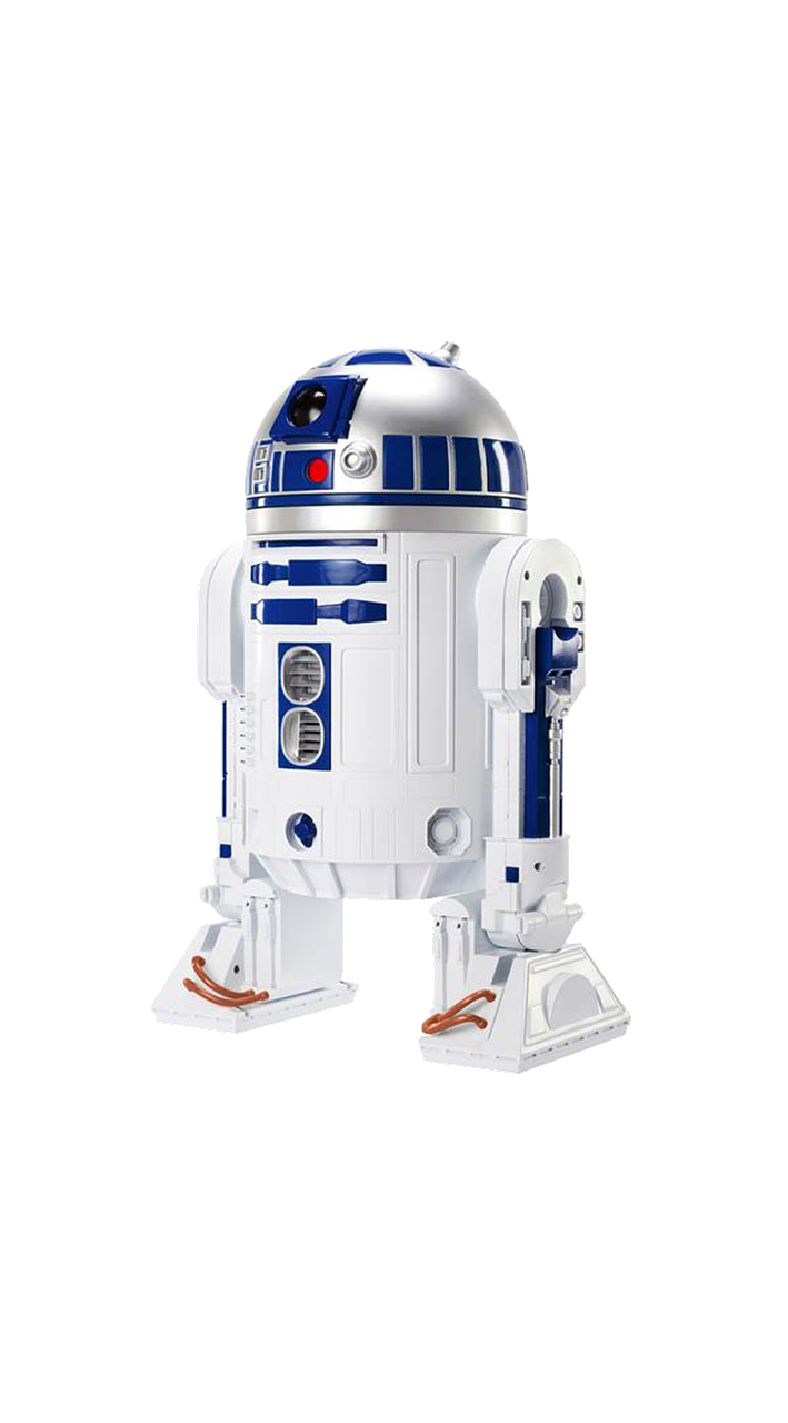 林美蘭最新動態(tài),未來之星,綻放光芒