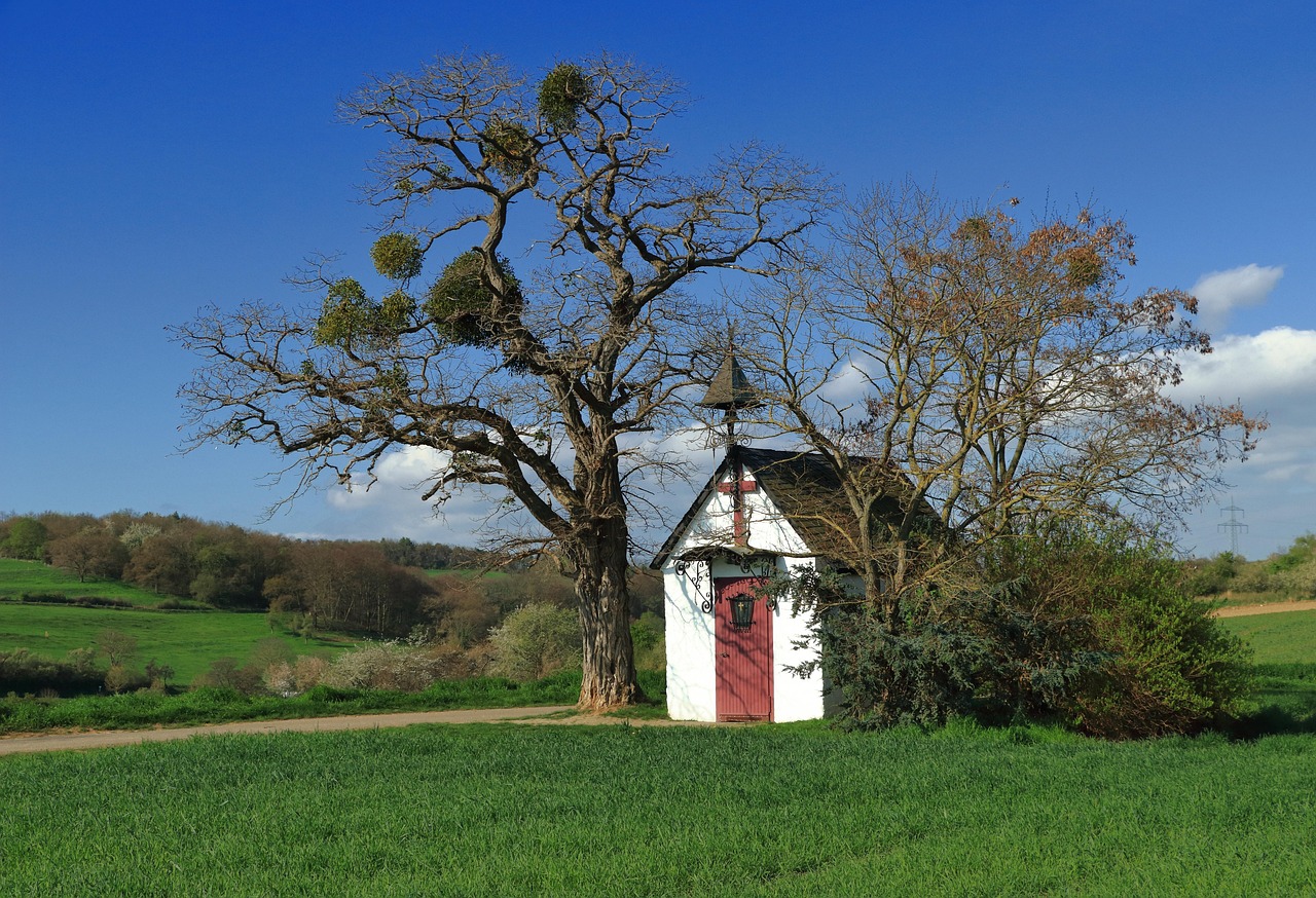 寂小賊最新動態,創新之路與未來展望