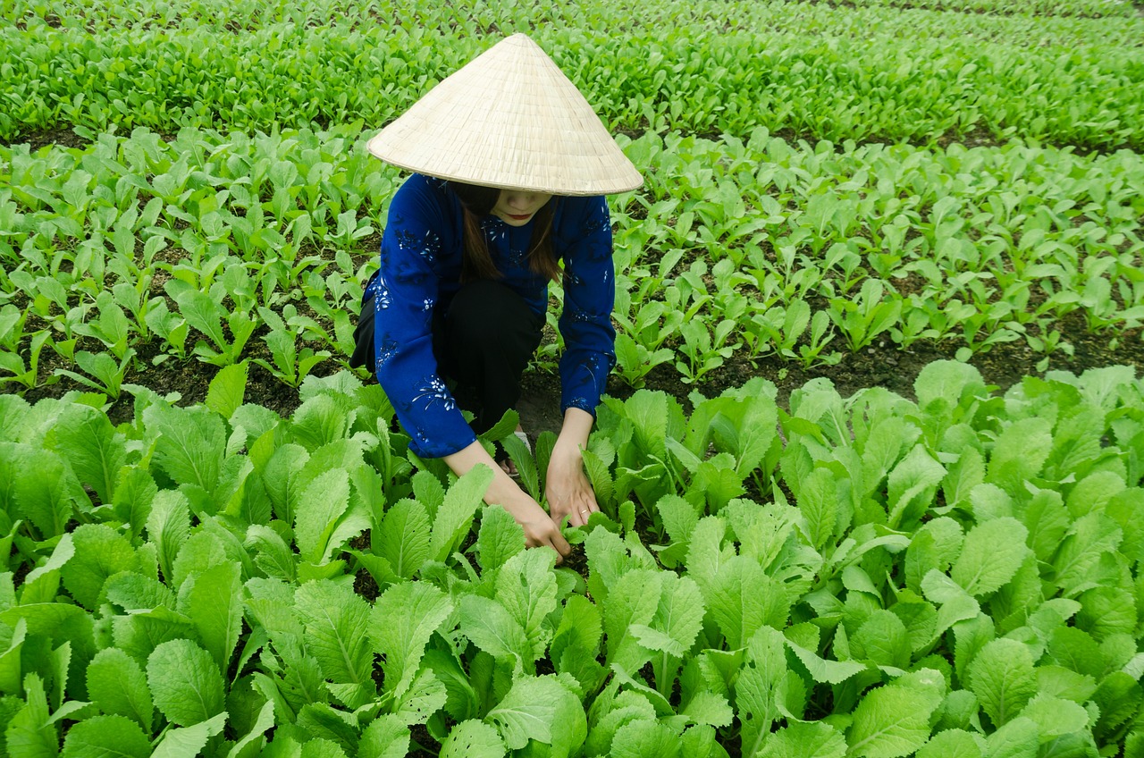 青海西寧最新發展動態概覽
