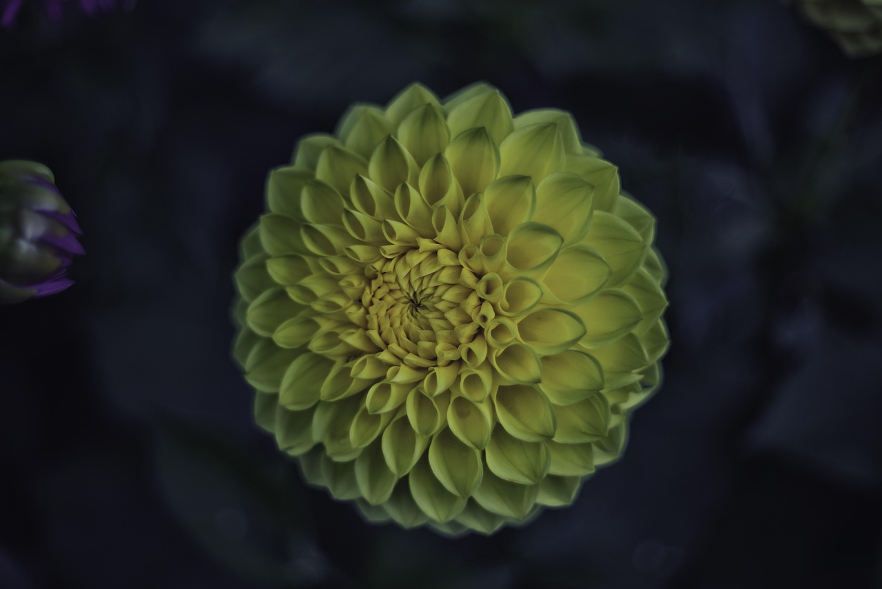 海融易最新動(dòng)態(tài)及展望發(fā)展報(bào)告