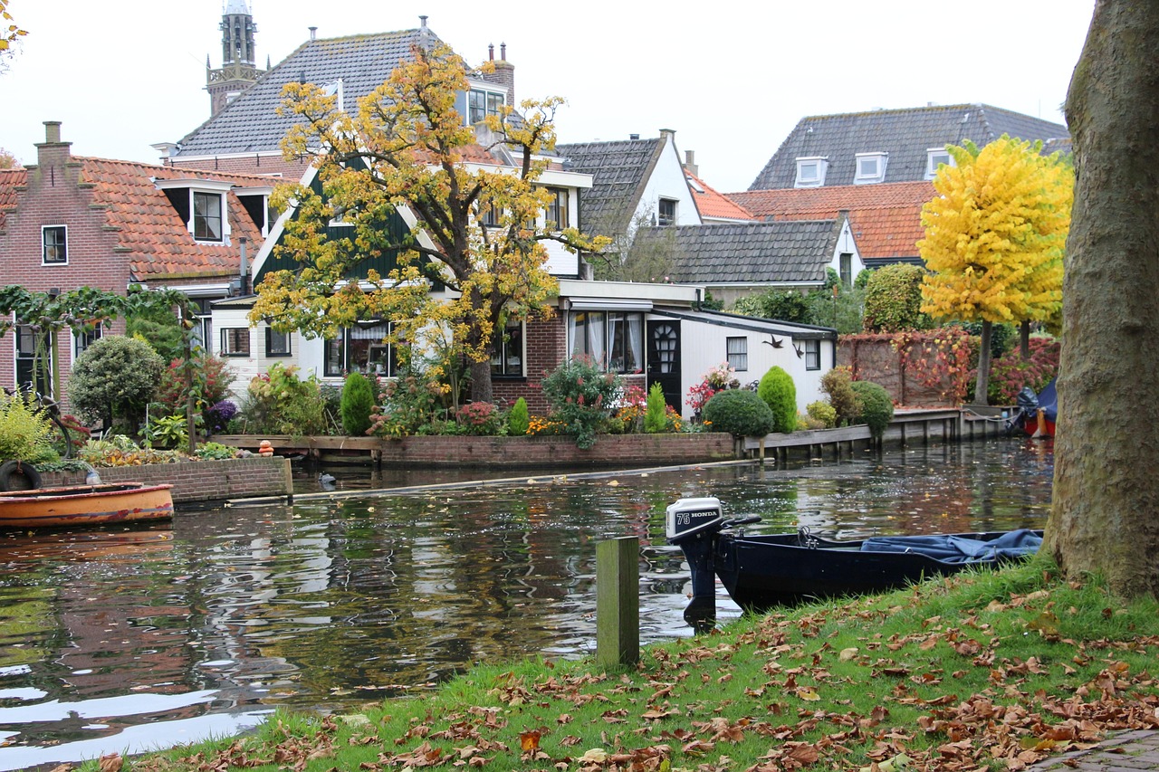 夏詩雯最新動態,乒乓球臺上的璀璨新星綻放