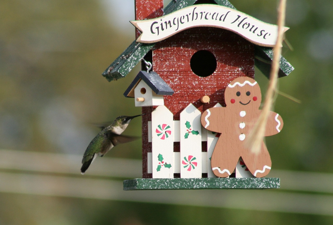 小白兔的最新生活故事揭秘