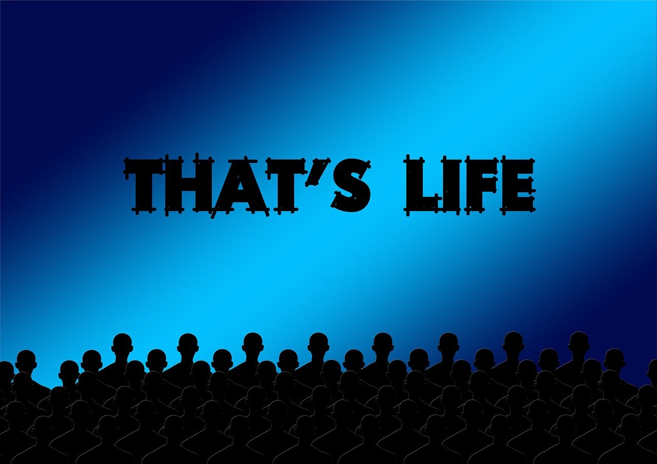 影視資源最新更新,引領視覺盛宴,滿足觀眾期待