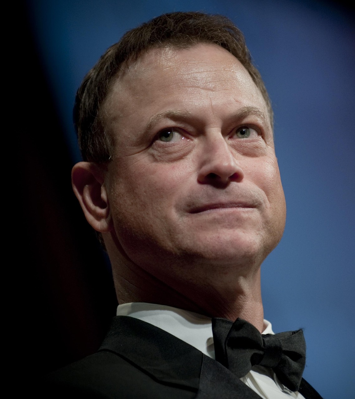 弗蘭茲演員,演藝之路的璀璨之星閃耀之旅