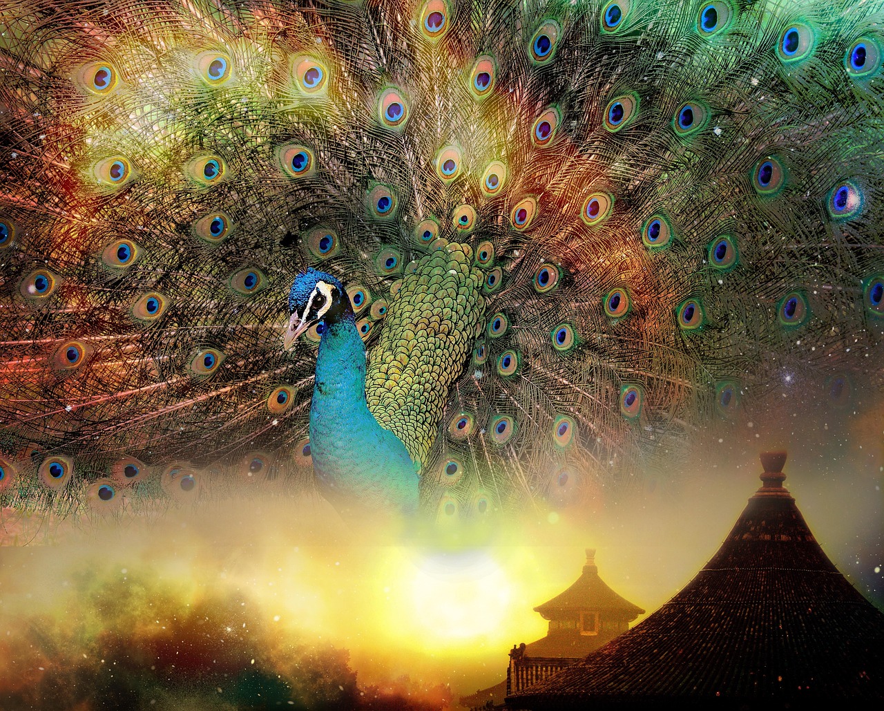 古老獸比賽,傳統與現代競技的完美結合之道