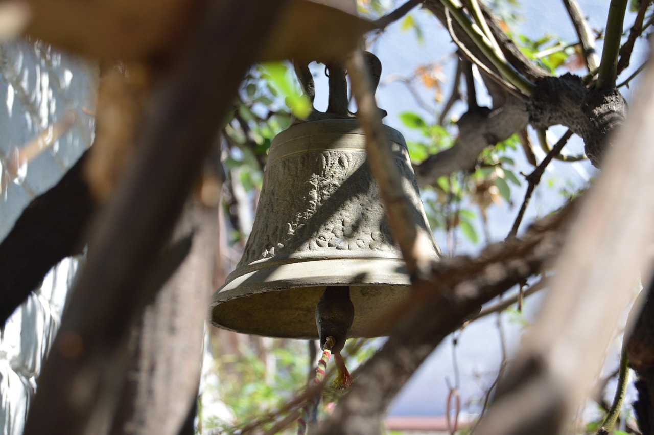 招商蛇口股票行情今日分析,最新動態與市場走勢探討