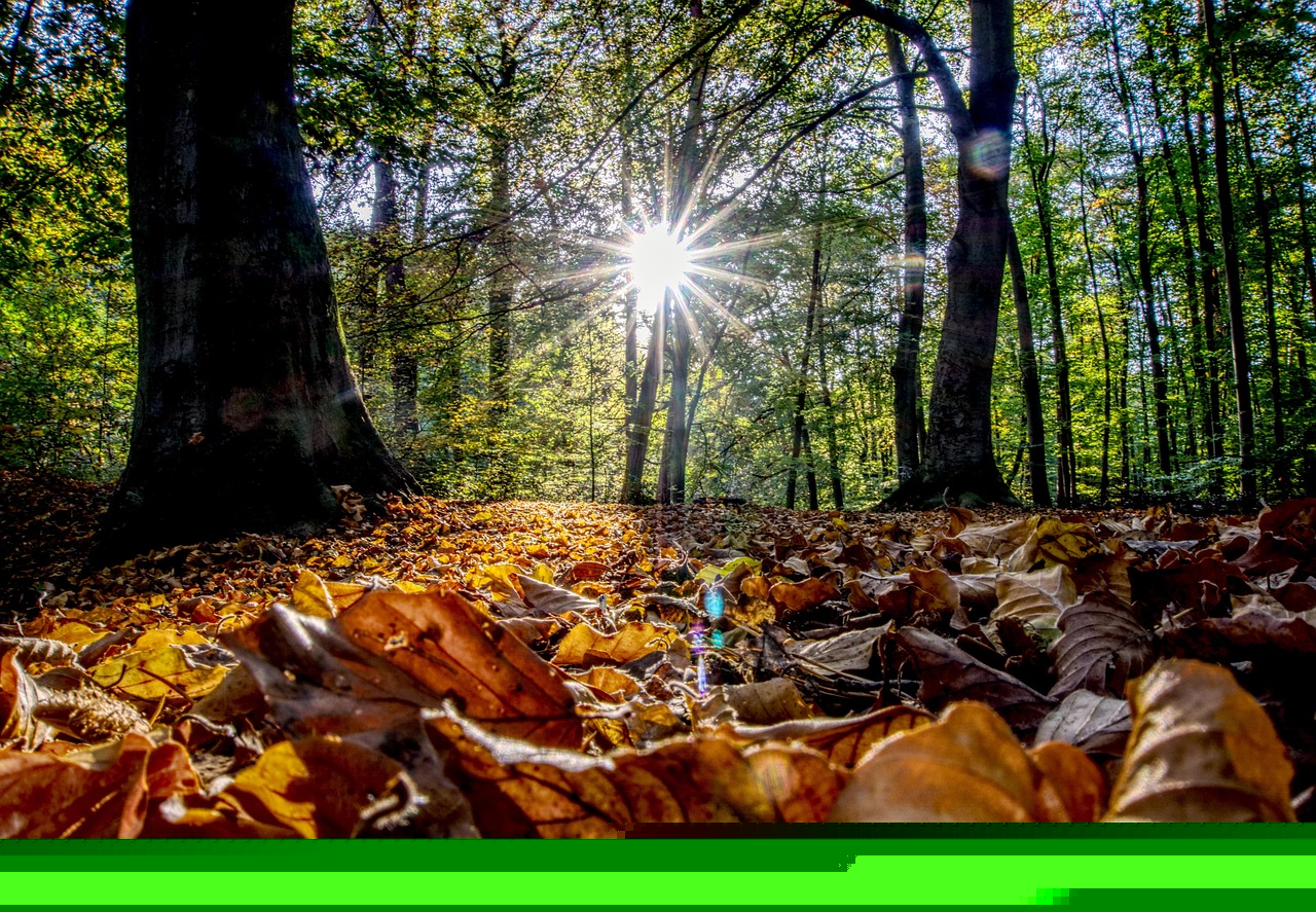 新疆疫情最新動態更新