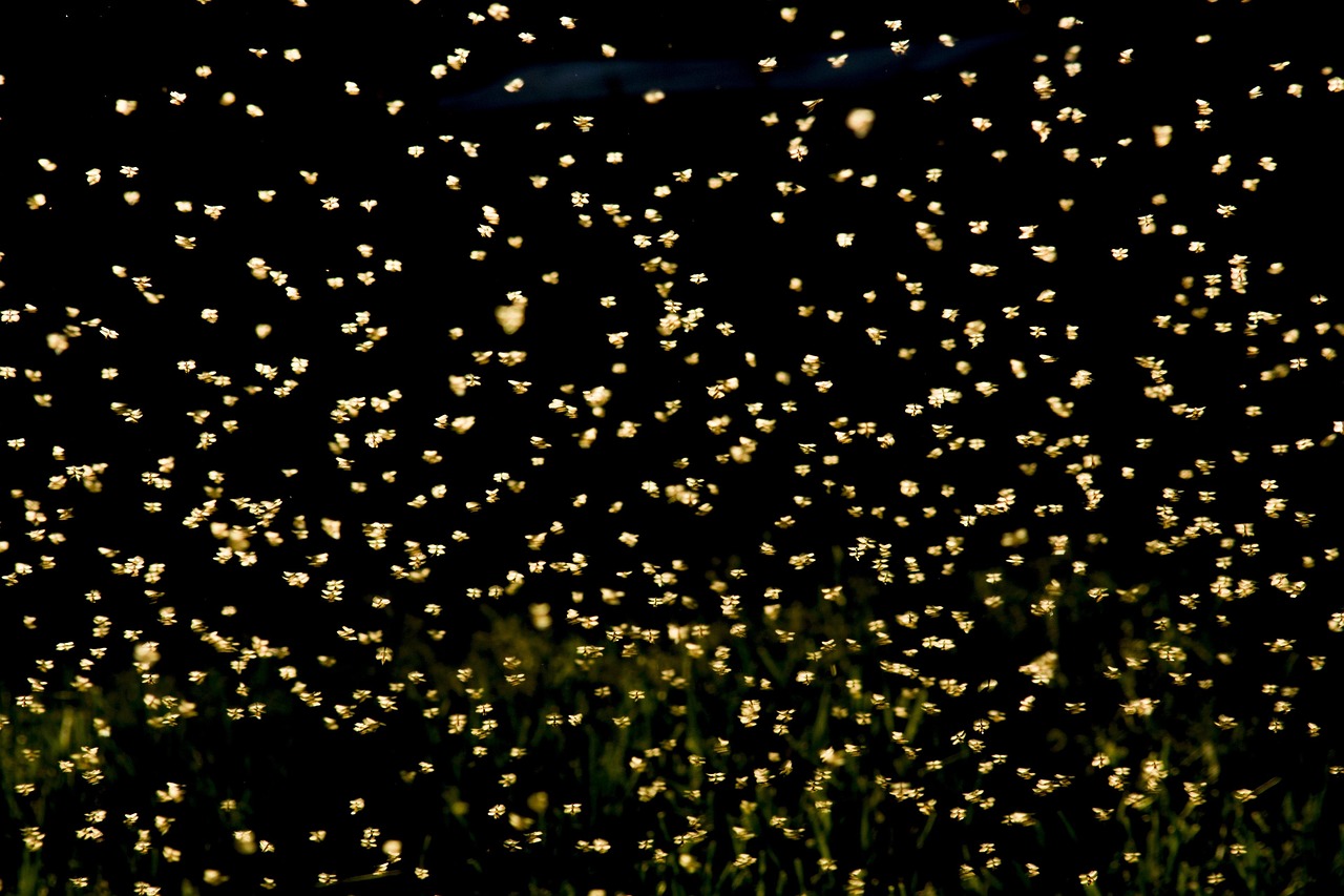 濟南棚改四月進展與未來展望,最新棚戶區(qū)改造動態(tài)揭秘