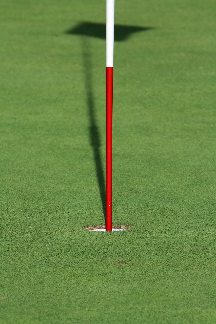 林書豪四月賽場風采閃耀比賽現場