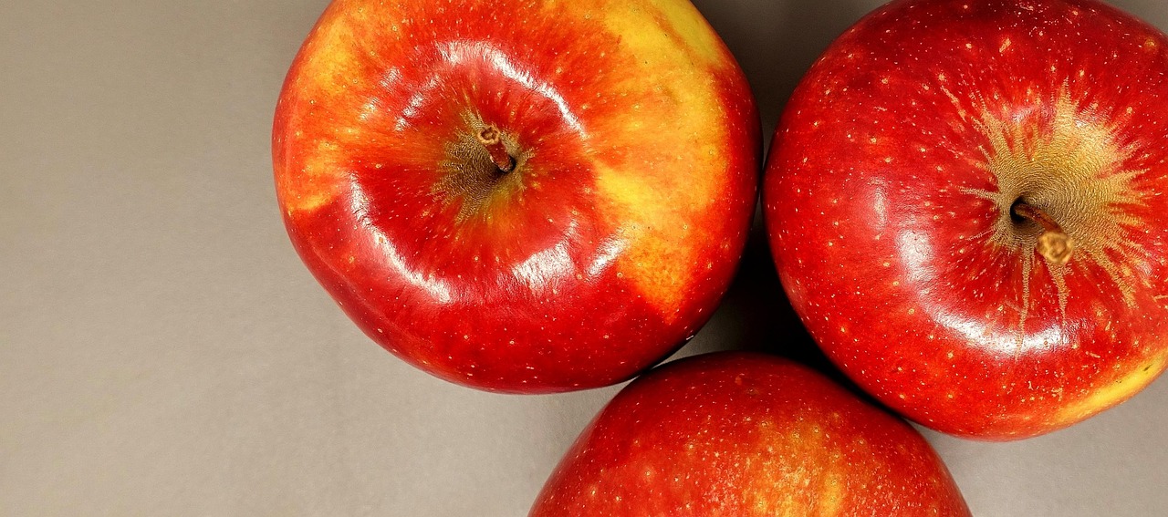 深度解析,蕪湖江北新區四月最新動態