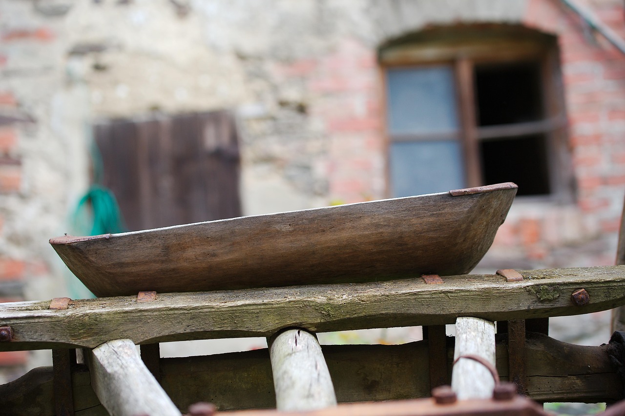 四月乾隆電影,經(jīng)典魅力,時(shí)光不老