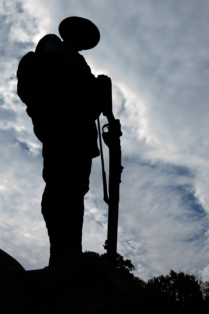 五月退役軍人事務部最新動態解讀，全面關注退役軍人事務的最新消息