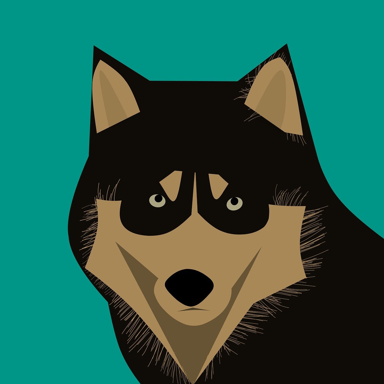 五月動漫角色眼睛的魅力與故事探索