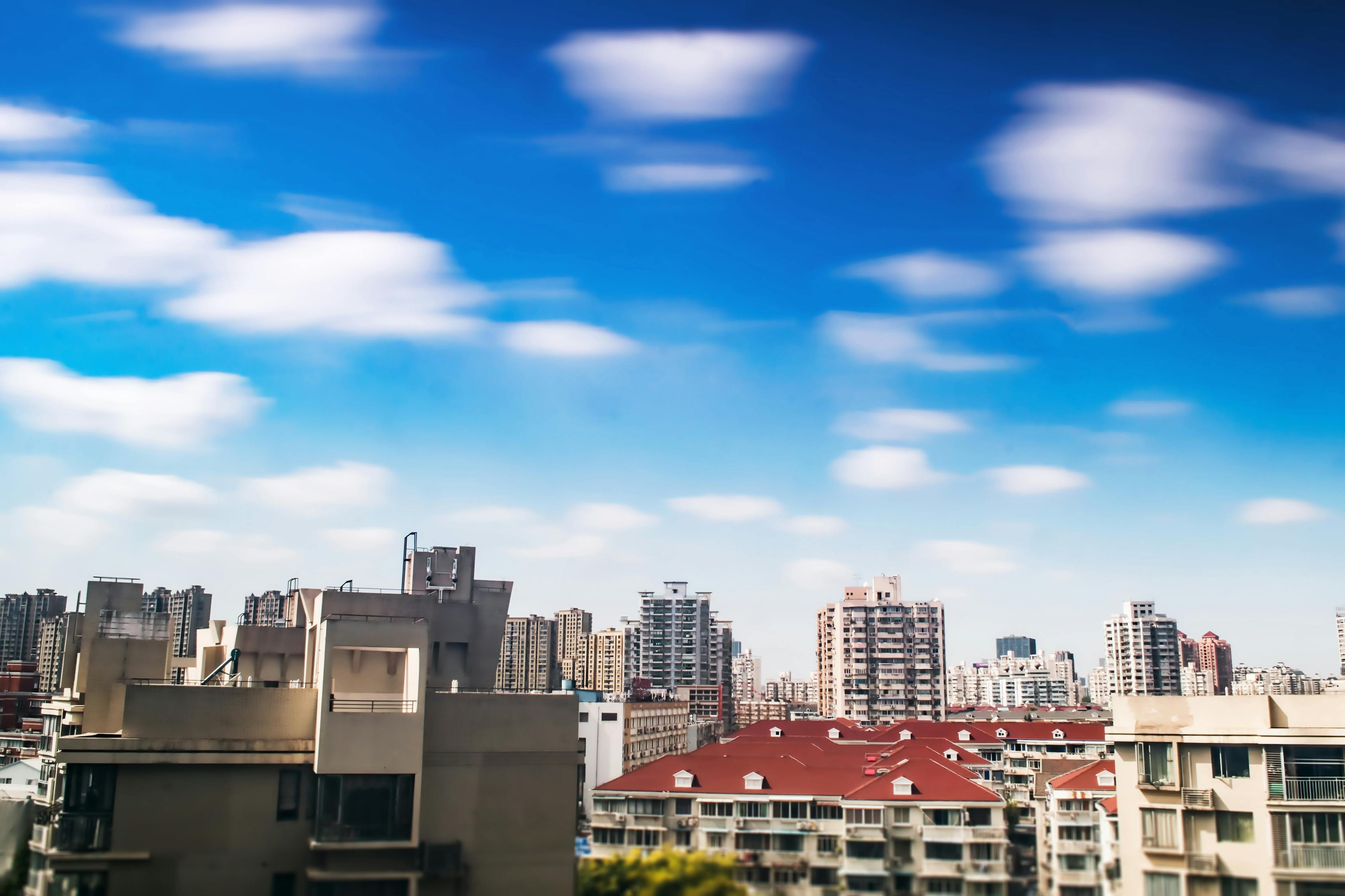 五月陽新最新新聞熱點探尋